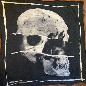 Alexander McQueen thin scarf